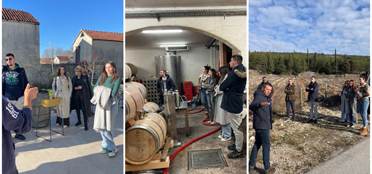 Studenti hotelijerstva i gastronomije na terenskoj nastavi u Vinariji Grabovac